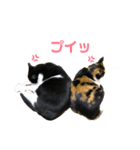 ここみくつきみるちょ（個別スタンプ：4）