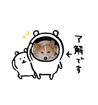 やっと審査通った（個別スタンプ：3）