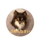 ルーチェとフレアです（個別スタンプ：2）