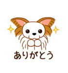 チワワのぷーさん（個別スタンプ：3）