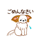 チワワのぷーさん（個別スタンプ：4）