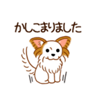 チワワのぷーさん（個別スタンプ：7）
