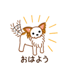 チワワのぷーさん（個別スタンプ：8）