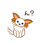 チワワのぷーさん（個別スタンプ：12）