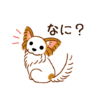 チワワのぷーさん（個別スタンプ：13）