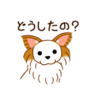 チワワのぷーさん（個別スタンプ：14）