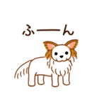 チワワのぷーさん（個別スタンプ：15）