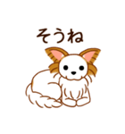 チワワのぷーさん（個別スタンプ：16）