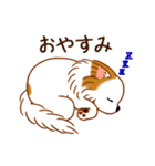 チワワのぷーさん（個別スタンプ：24）