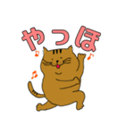 ねこ部 3（個別スタンプ：11）