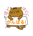 ねこ部 3（個別スタンプ：14）