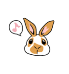 ウサギのはなちゃん（個別スタンプ：1）
