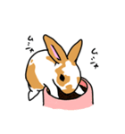 ウサギのはなちゃん（個別スタンプ：5）