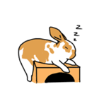 ウサギのはなちゃん（個別スタンプ：7）