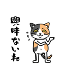 毎日ねこキチ（個別スタンプ：2）