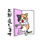 毎日ねこキチ（個別スタンプ：3）
