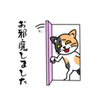 毎日ねこキチ（個別スタンプ：4）