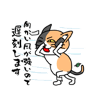 毎日ねこキチ（個別スタンプ：5）