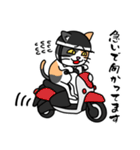 毎日ねこキチ（個別スタンプ：6）