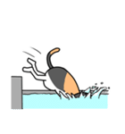 毎日ねこキチ（個別スタンプ：9）
