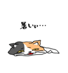 毎日ねこキチ（個別スタンプ：11）