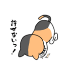 毎日ねこキチ（個別スタンプ：12）