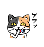 毎日ねこキチ（個別スタンプ：13）