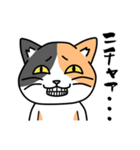 毎日ねこキチ（個別スタンプ：15）
