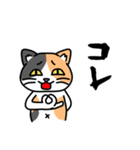 毎日ねこキチ（個別スタンプ：16）
