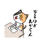 毎日ねこキチ（個別スタンプ：17）
