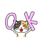 毎日ねこキチ（個別スタンプ：19）