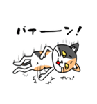 毎日ねこキチ（個別スタンプ：22）