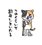 毎日ねこキチ（個別スタンプ：23）