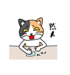 毎日ねこキチ（個別スタンプ：24）