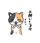 毎日ねこキチ（個別スタンプ：26）