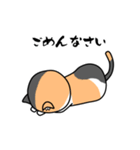 毎日ねこキチ（個別スタンプ：27）