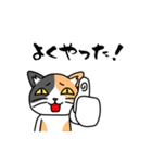 毎日ねこキチ（個別スタンプ：29）