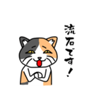 毎日ねこキチ（個別スタンプ：30）