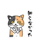 毎日ねこキチ（個別スタンプ：31）