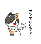 毎日ねこキチ（個別スタンプ：33）
