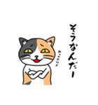 毎日ねこキチ（個別スタンプ：34）