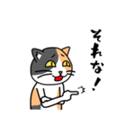 毎日ねこキチ（個別スタンプ：35）