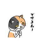 毎日ねこキチ（個別スタンプ：36）