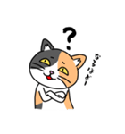毎日ねこキチ（個別スタンプ：37）