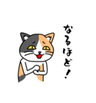 毎日ねこキチ（個別スタンプ：38）