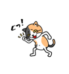 毎日ねこキチ（個別スタンプ：39）