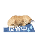 キスケ様（個別スタンプ：2）