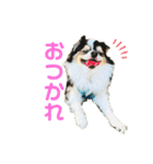 THE☆えいたい（個別スタンプ：1）