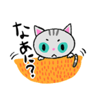 アメリカンショートヘアのアランちゃん（個別スタンプ：11）