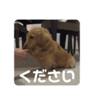 いつの写真？スタンプ（個別スタンプ：12）